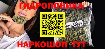 дурь Кимры