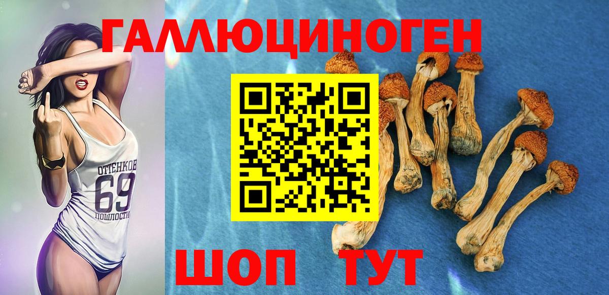 Псилоцибиновые грибы прущие грибы Донецк