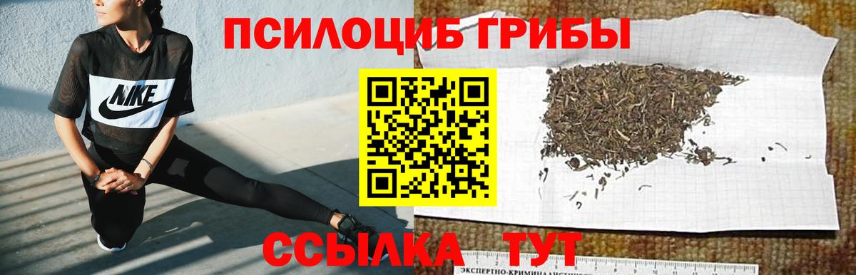 Псилоцибиновые грибы Psilocybe  Вход с VPN  Псилоцибиновые грибы Cubensis  как найти   Донецк 
